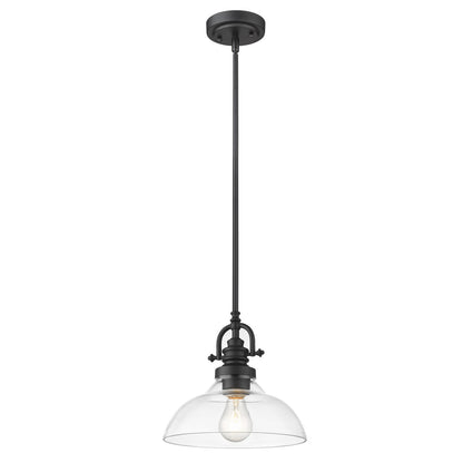 Acclaim Lighting Virginia 1-Light Matte Black Pendant With Clear Glass Shade in Matte Black IN21147BK