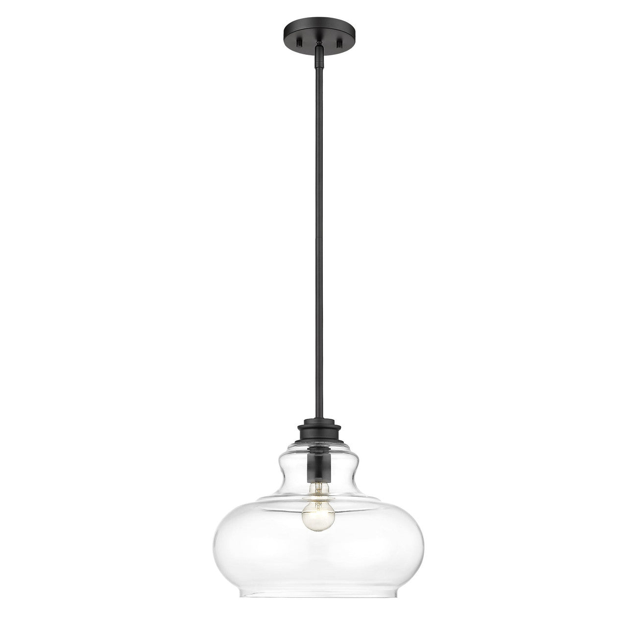 Acclaim Lighting Torrel 1-Light Matte Black Pendant in Matte Black IN21251BK