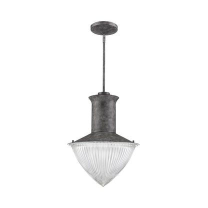 Acclaim Lighting Skylar 1-Light Ash Pendant With Halophane Glass Shade in Ash IN21375ASH