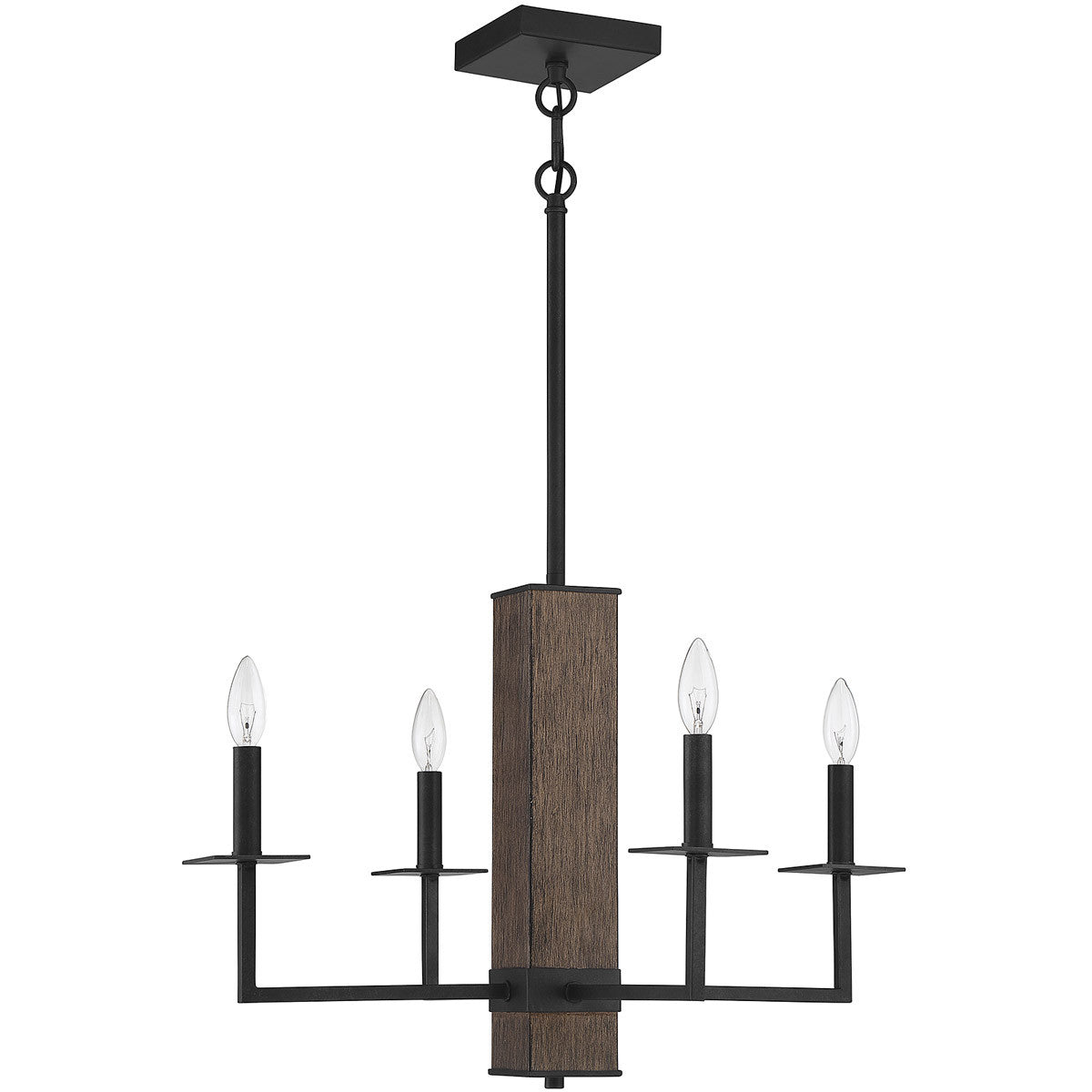 Meridian Lite Trends 4-Light Chandelier in Remington M10089DG