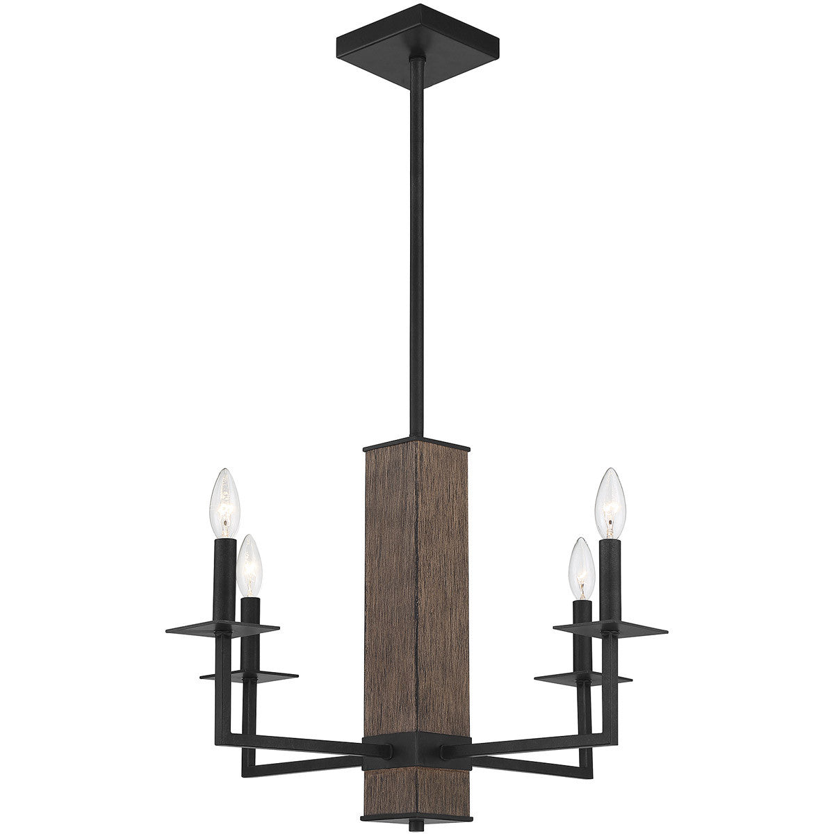 Meridian 4-Light Chandelier in Remington M10089DG