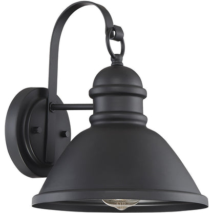 Meridian 1-Light Outdoor Wall Lantern in Matte Black M50016BK