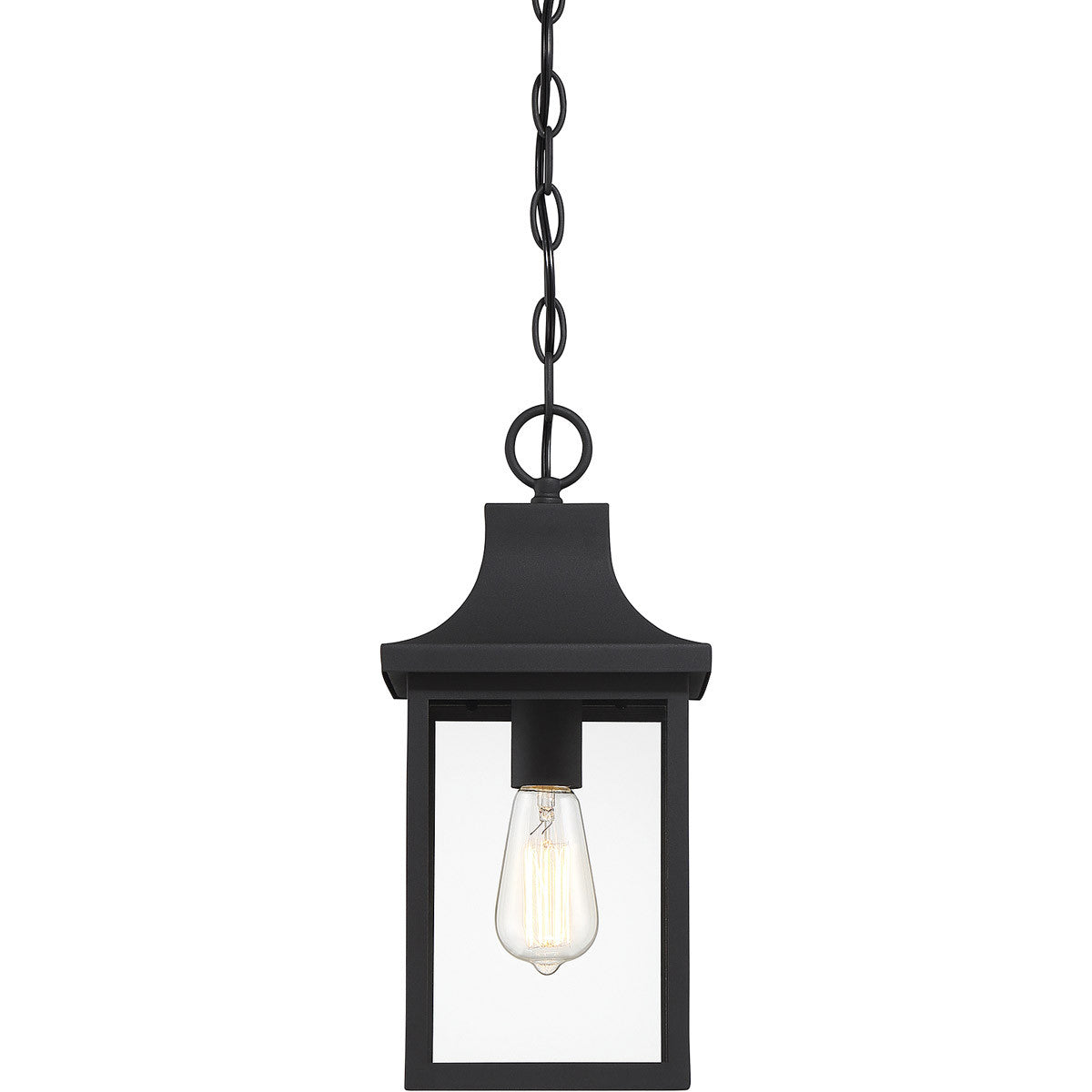 Meridian Lite Trends 1-Light Outdoor Hanging Lantern in Black M50052BK