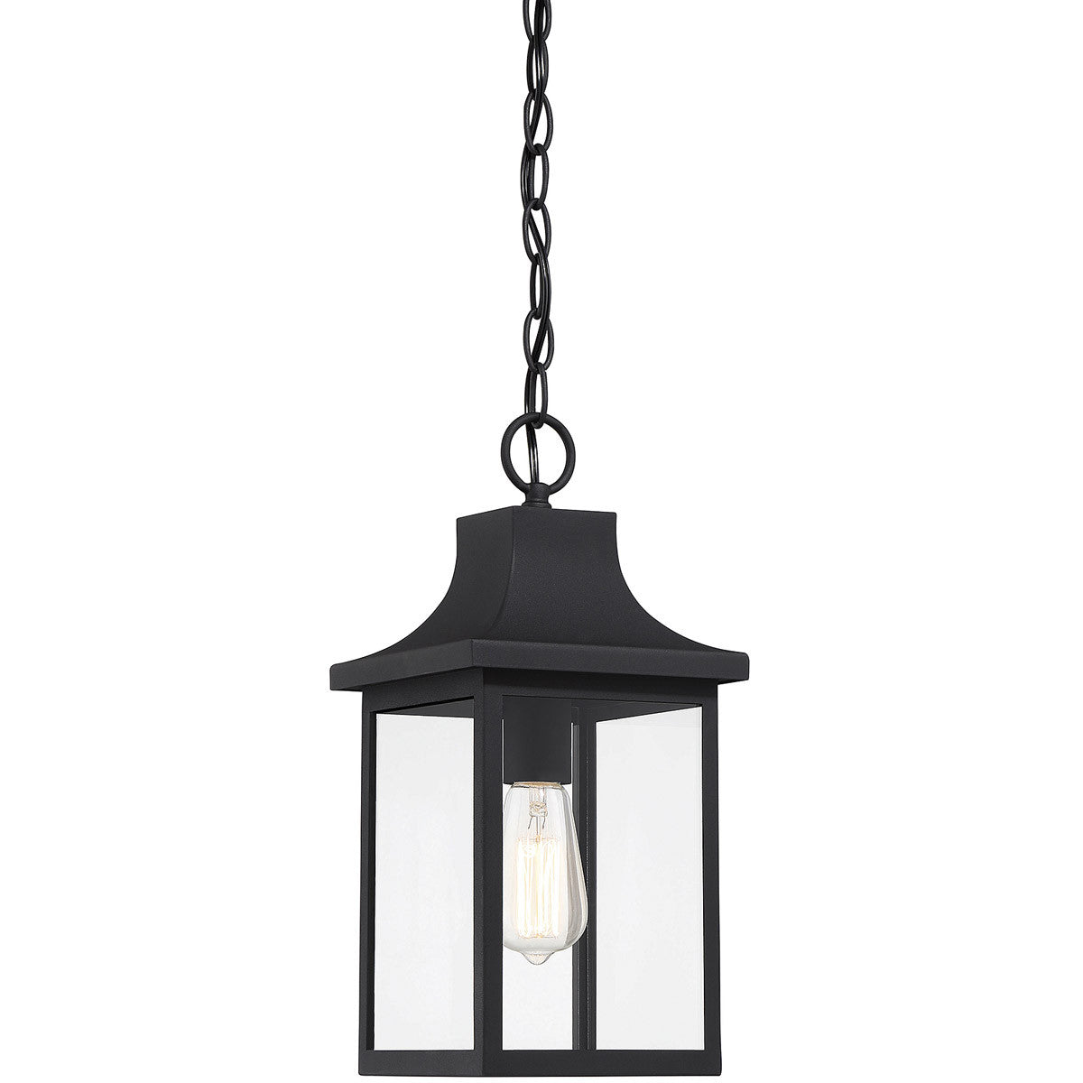 Meridian 1-Light Outdoor Hanging Lantern in Black M50052BK