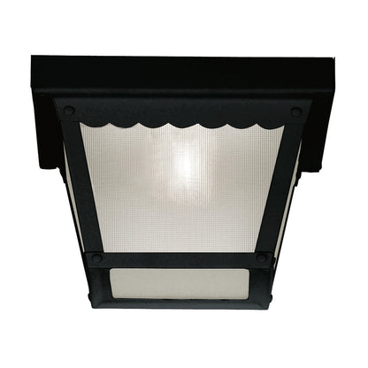 Meridian 1-Light Outdoor Ceiling Light in Black M50058BK