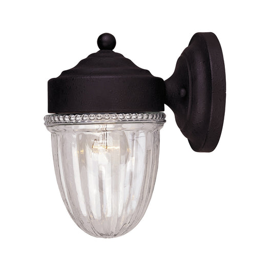 Meridian 1-Light Outdoor Wall Lantern in Textured Black M50060TB