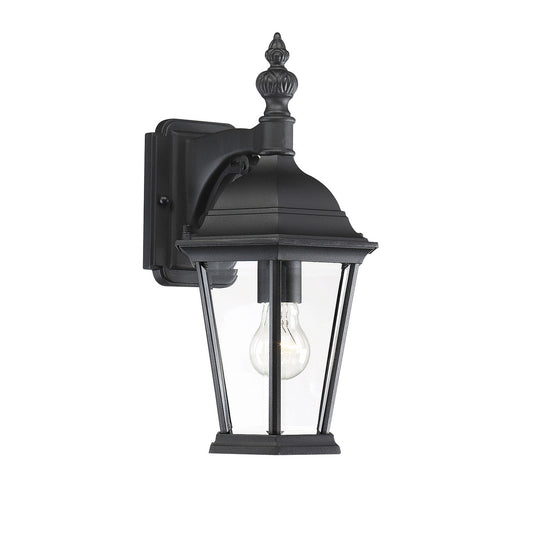 Meridian 1-Light Outdoor Wall Lantern in Black M50062BK