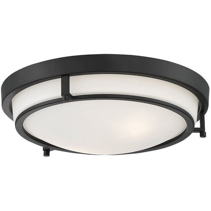 Meridian Lite Trends 2-Light Ceiling Light in Matte Black M60019MBK