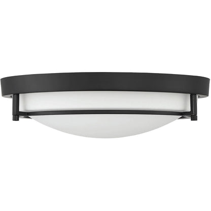 Meridian Lite Trends 2-Light Ceiling Light in Matte Black M60019MBK