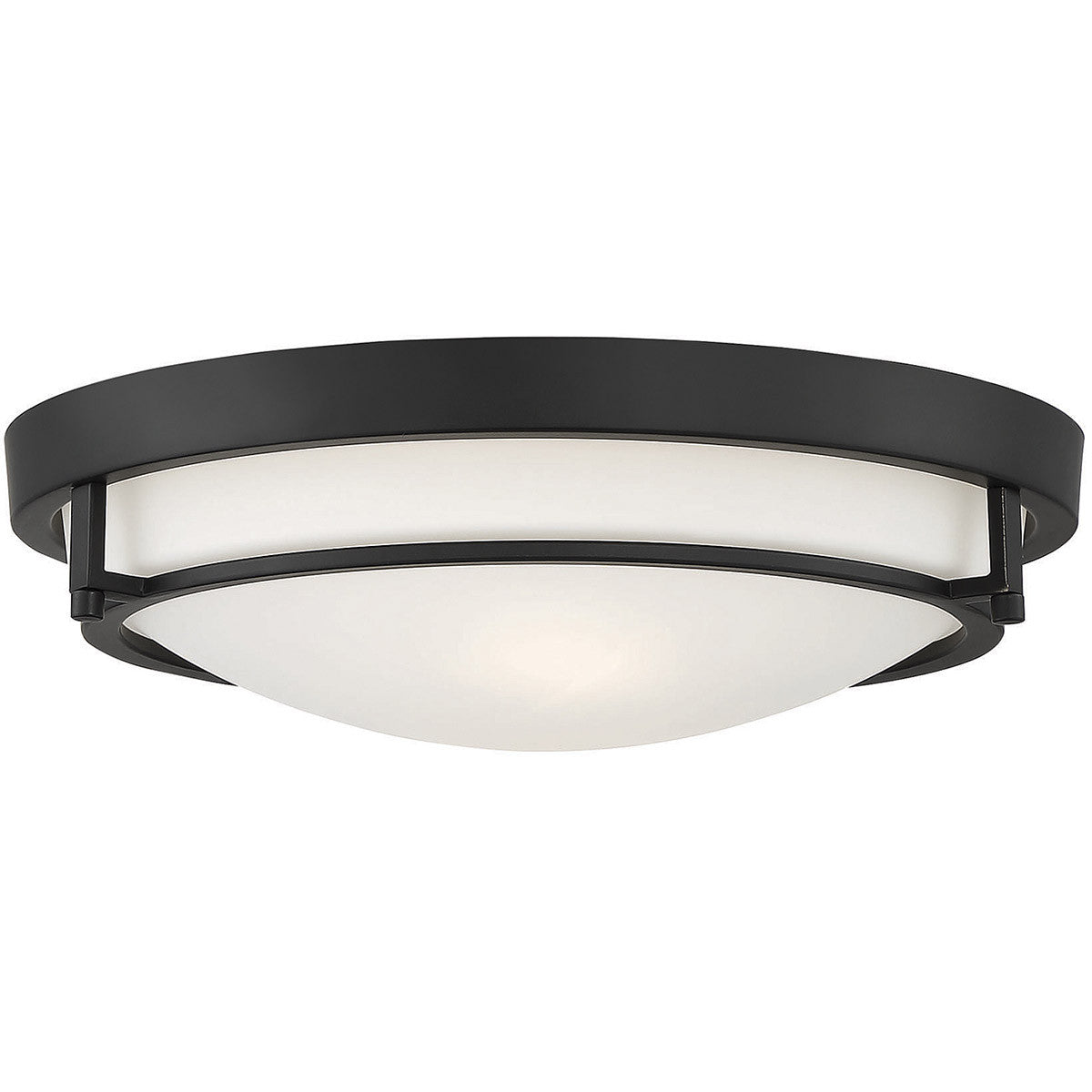 Meridian 2-Light Ceiling Light in Matte Black M60019MBK