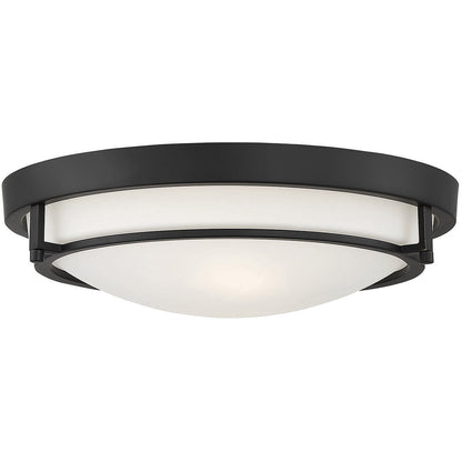 Meridian 2-Light Ceiling Light in Matte Black M60019MBK