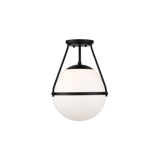 Meridian 1-Light Ceiling Light in Matte Black M60054MBK