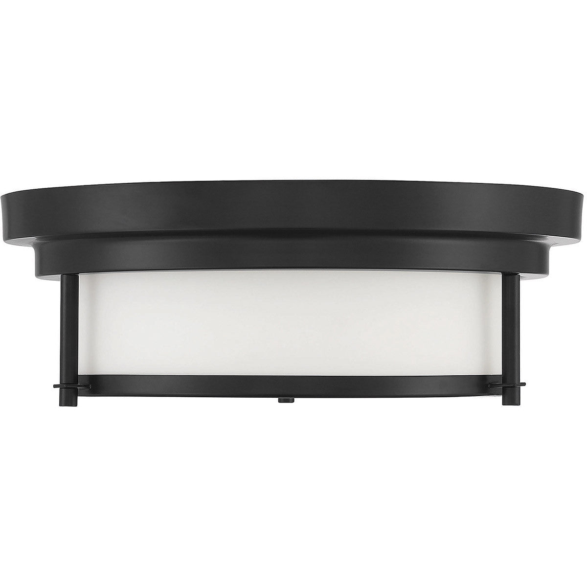 Meridian Lite Trends 2-Light Ceiling Light in Matte Black M60062MBK