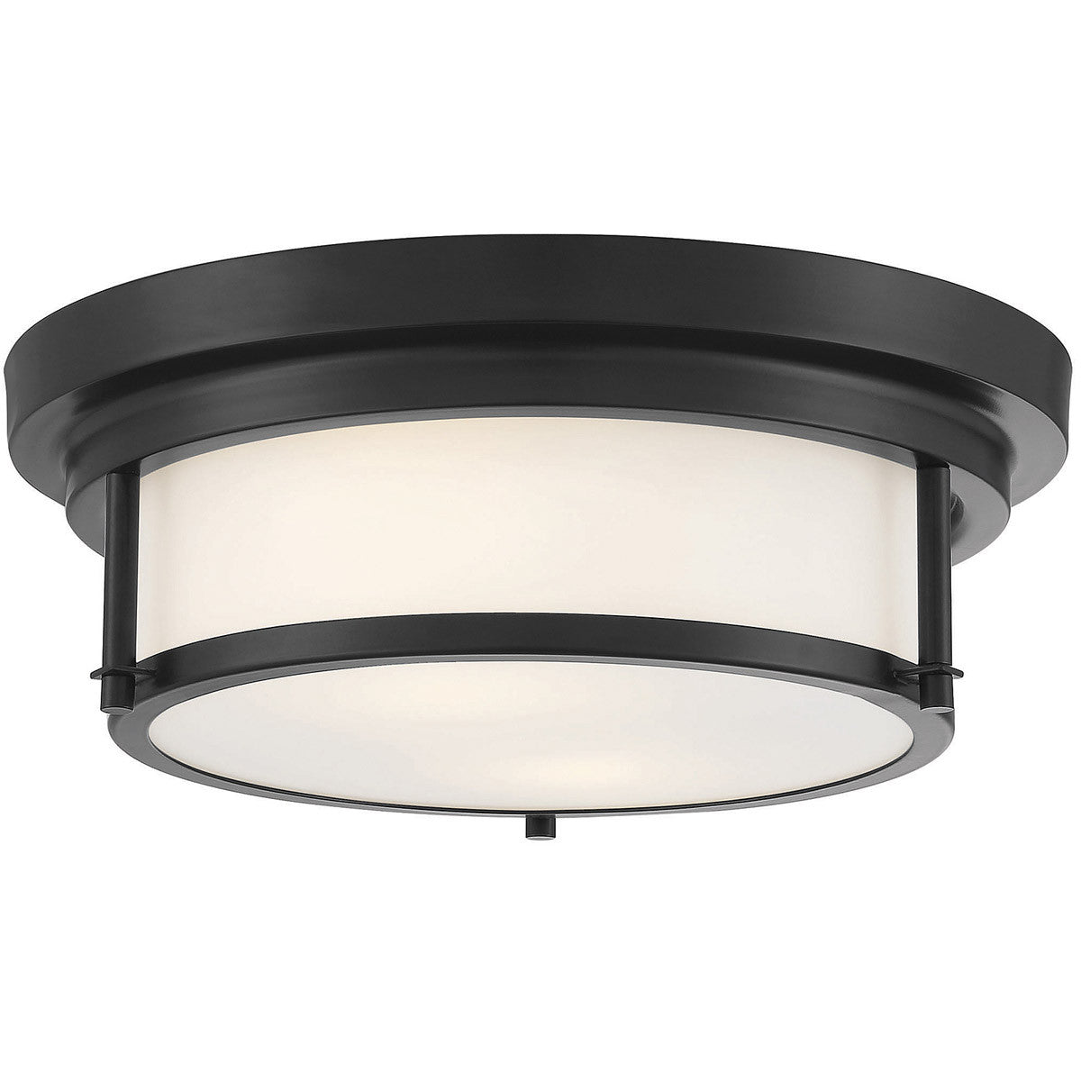 Meridian Lite Trends 2-Light Ceiling Light in Matte Black M60062MBK