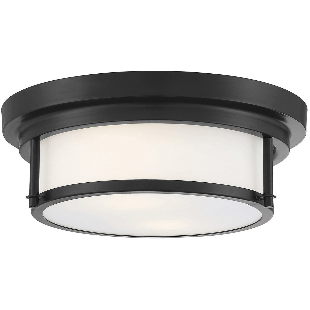 Meridian 2-Light Ceiling Light in Matte Black M60062MBK