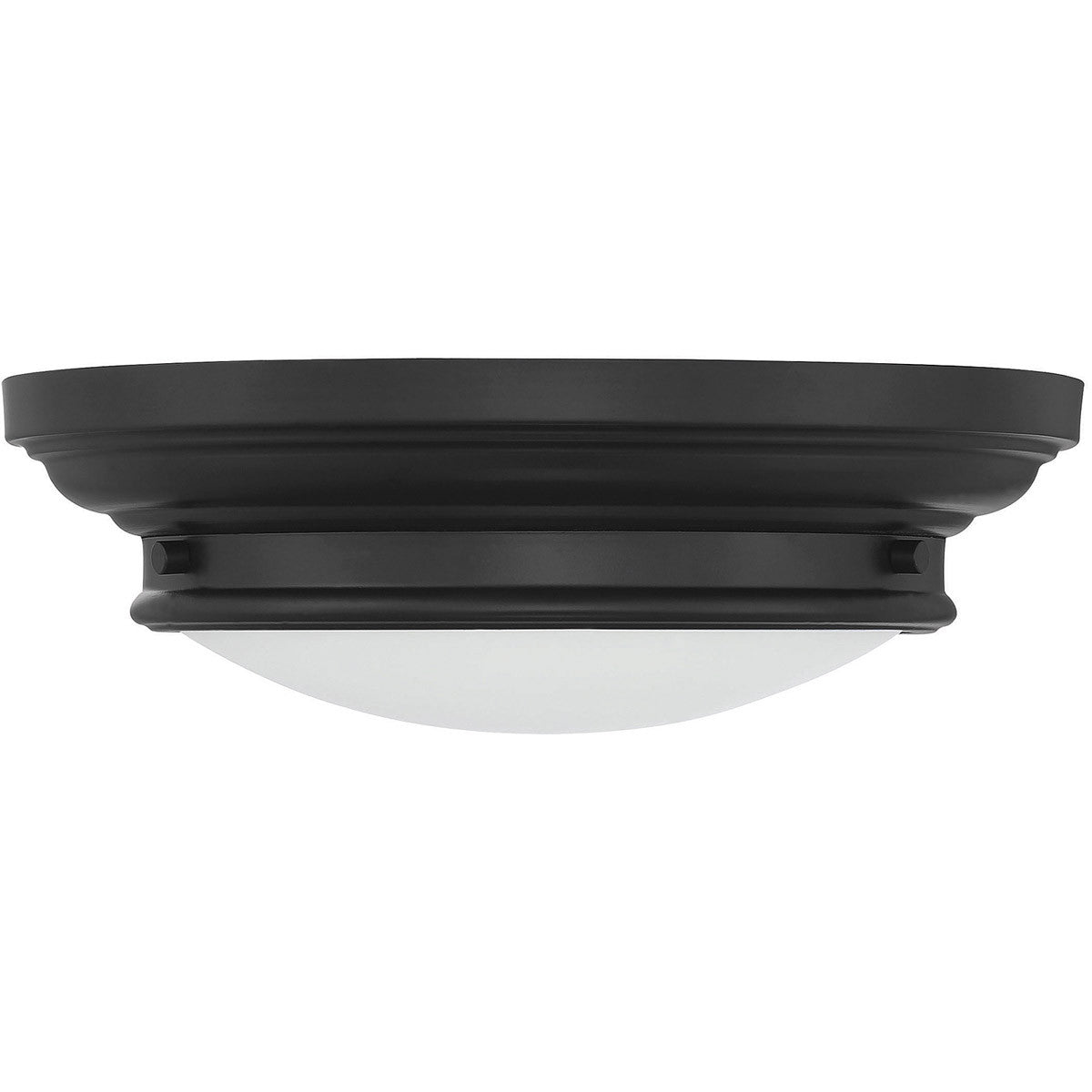 Meridian Lite Trends 2-Light Ceiling Light in Matte Black M60063MBK