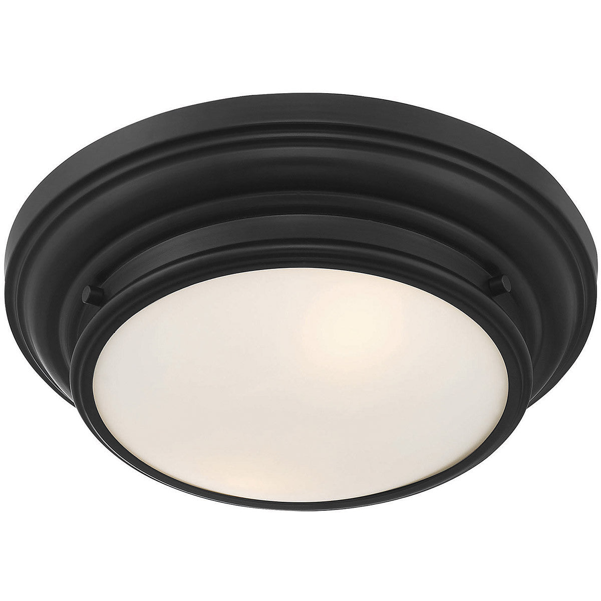 Meridian Lite Trends 2-Light Ceiling Light in Matte Black M60063MBK