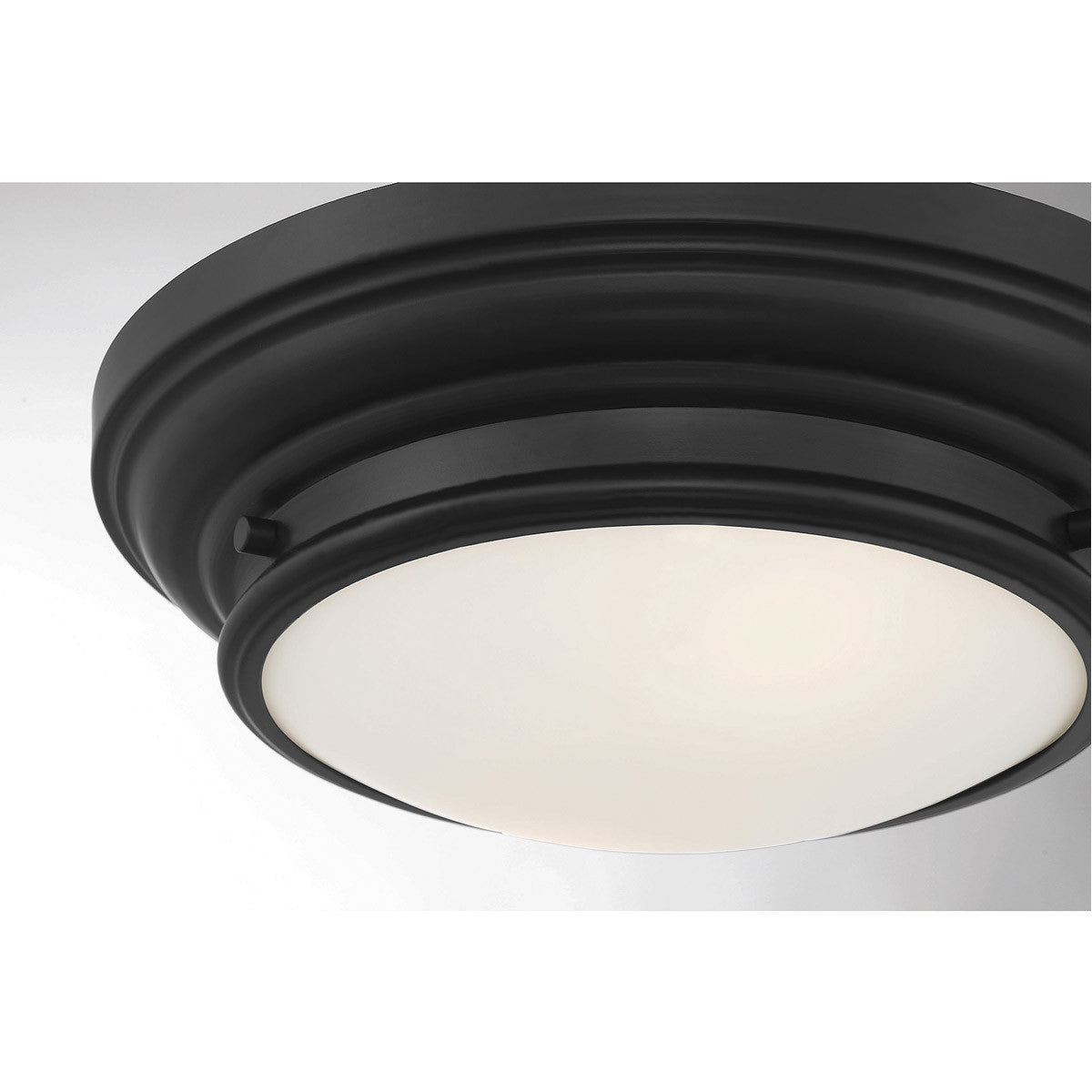 Meridian Lite Trends 2-Light Ceiling Light in Matte Black M60063MBK