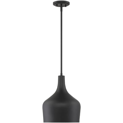 Meridian 1-Light Pendant in Matte Black M70020MBK