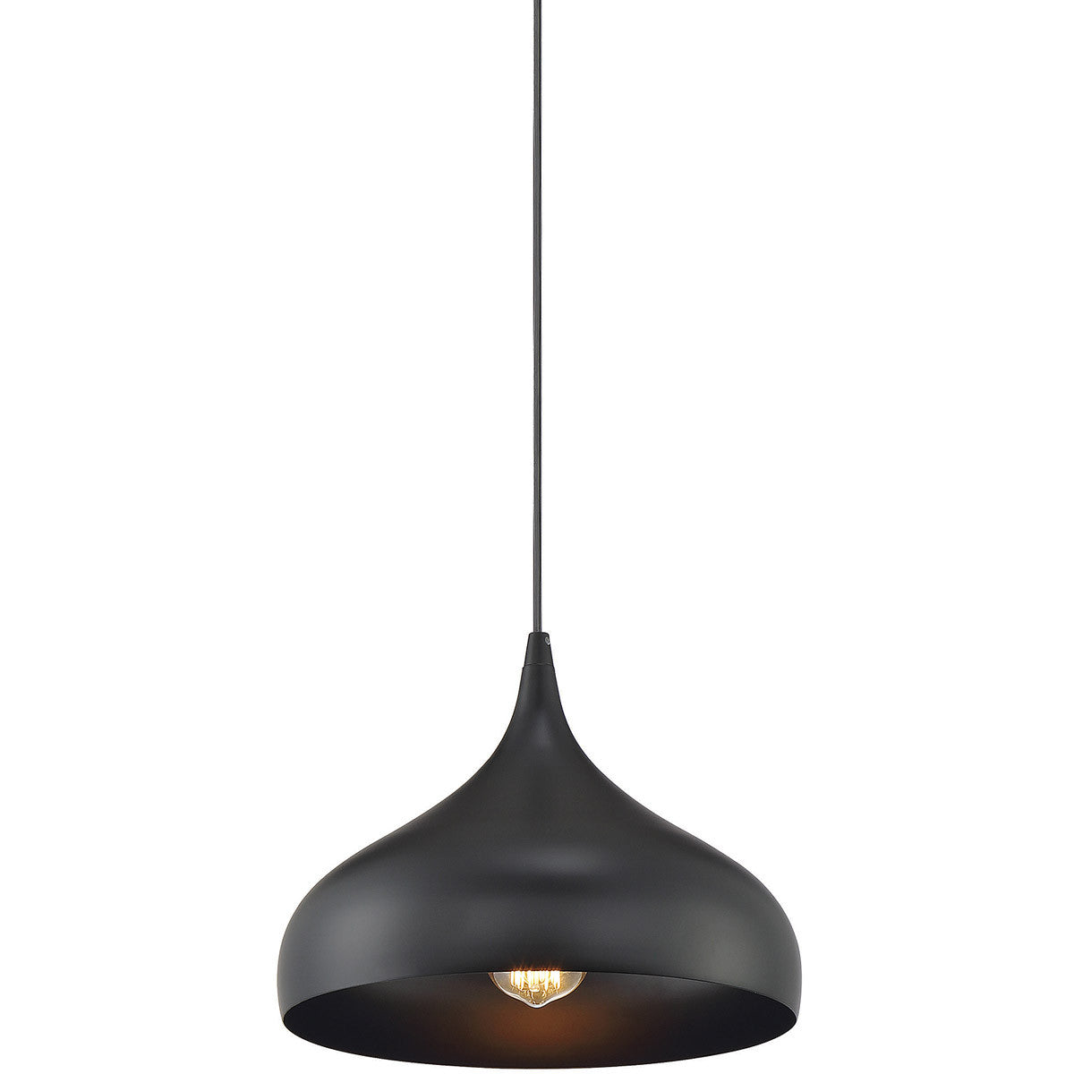 Meridian 1-Light Mini Pendant in Matte Black M70075MBK