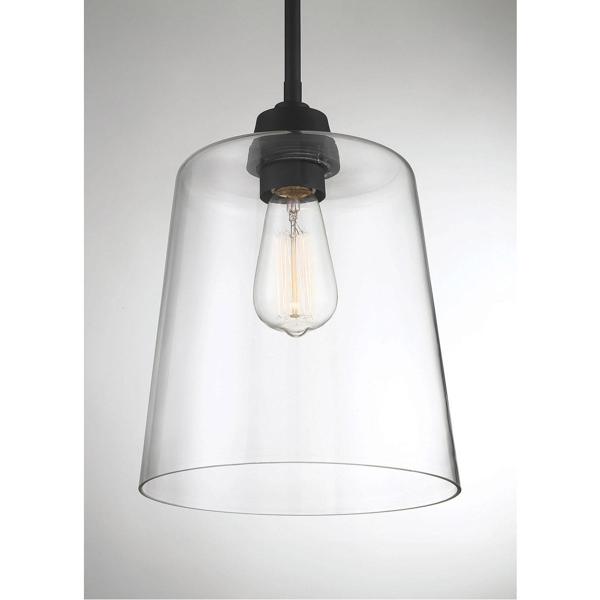 Meridian Lite Trends 1-Light Pendant in Matte Black M70081MBK