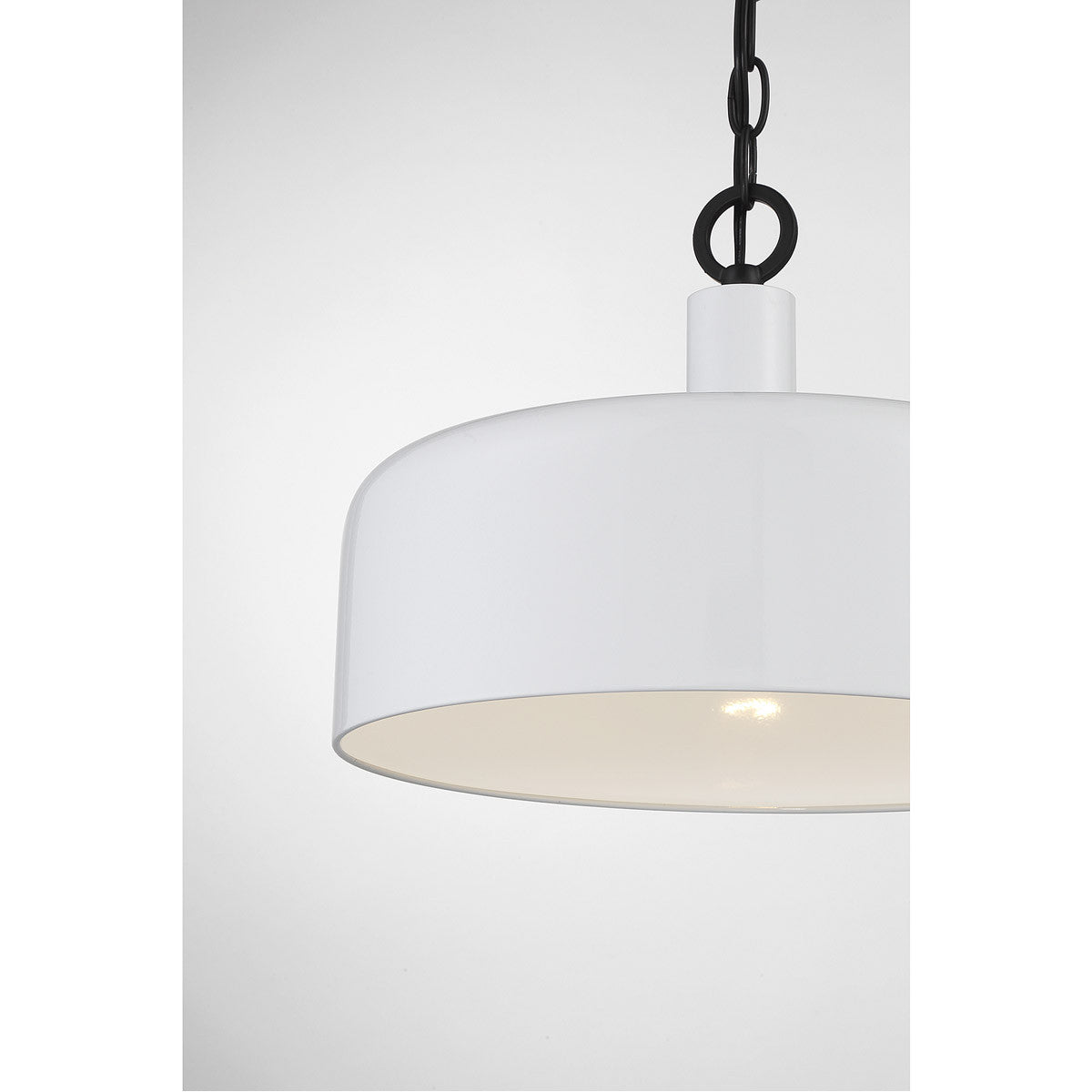 Meridian Lite Trends 1-Light Pendant in White with Black M70103WHBK