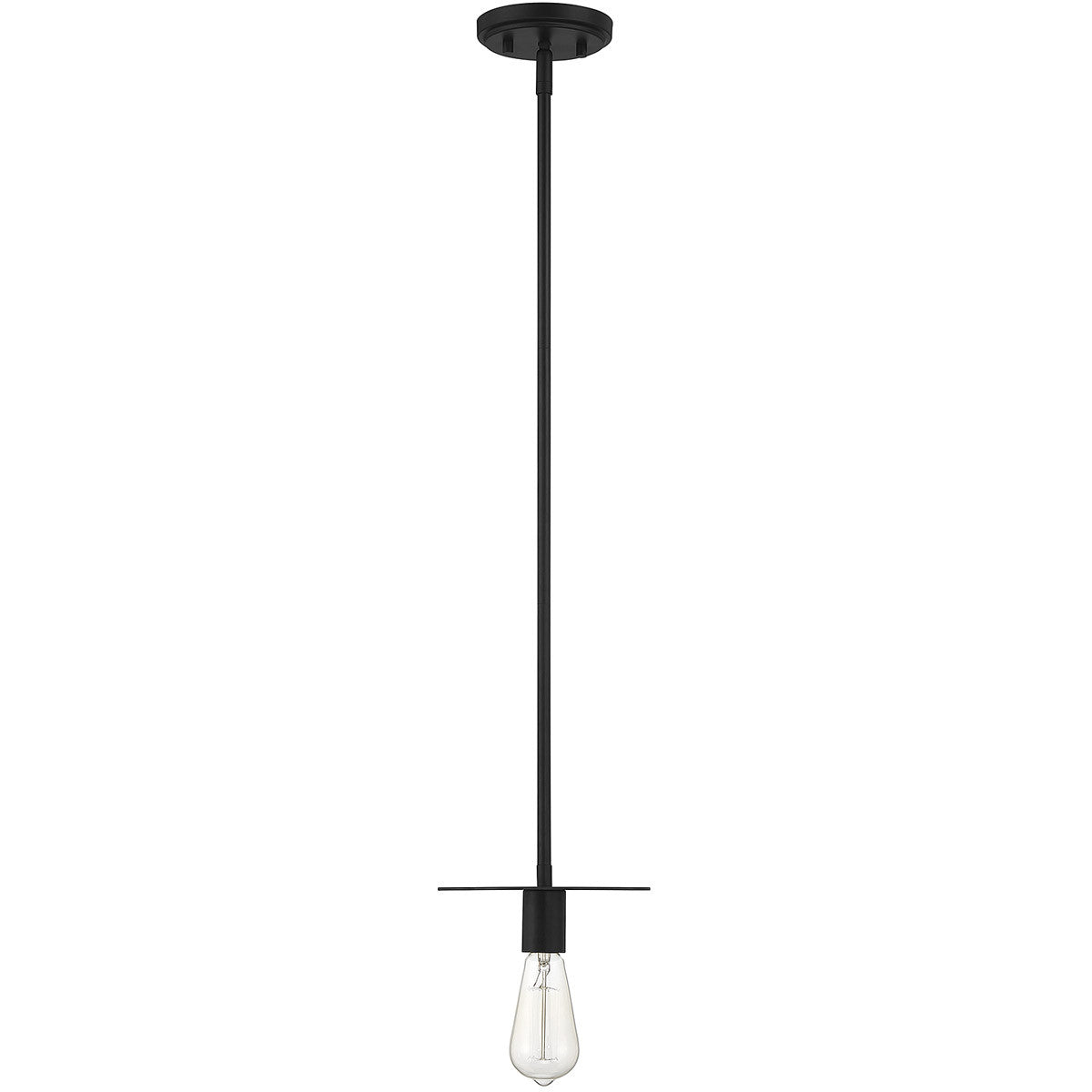 Meridian Lite Trends 1-Light Mini Pendant in Matte Black M70113MBK