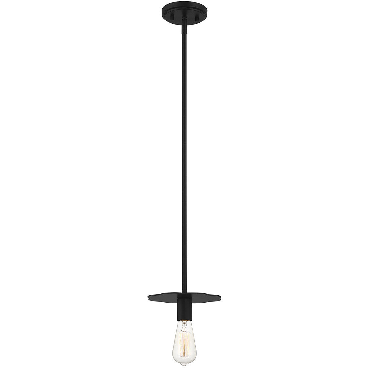 Meridian Lite Trends 1-Light Mini Pendant in Matte Black M70113MBK