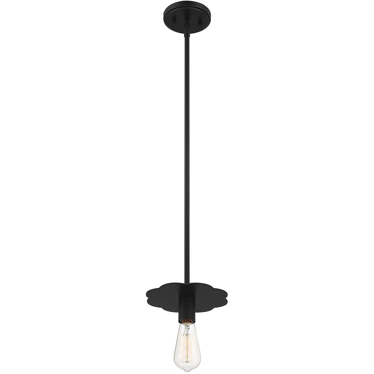 Meridian 1-Light Mini Pendant in Matte Black M70113MBK