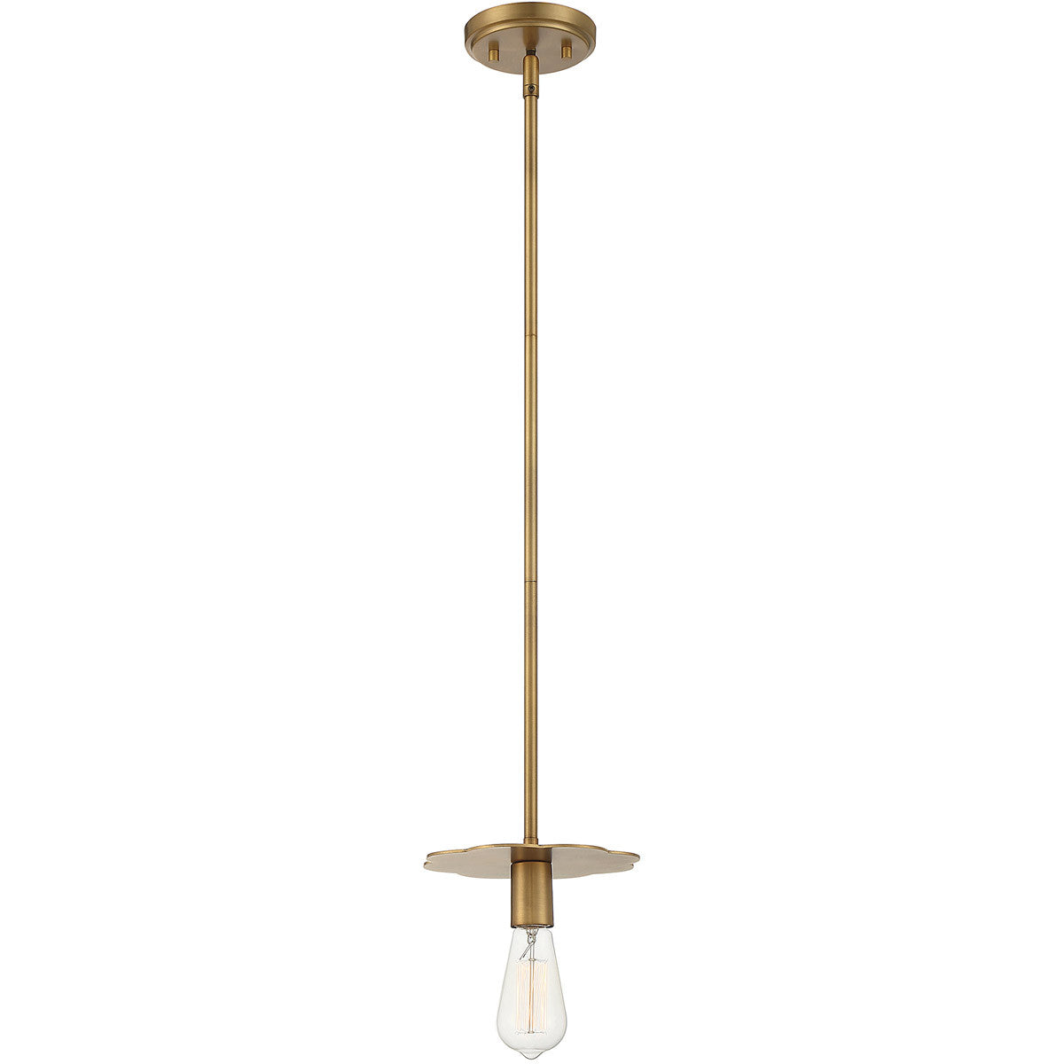 Meridian Lite Trends 1-Light Mini Pendant in Natural Brass M70113NB