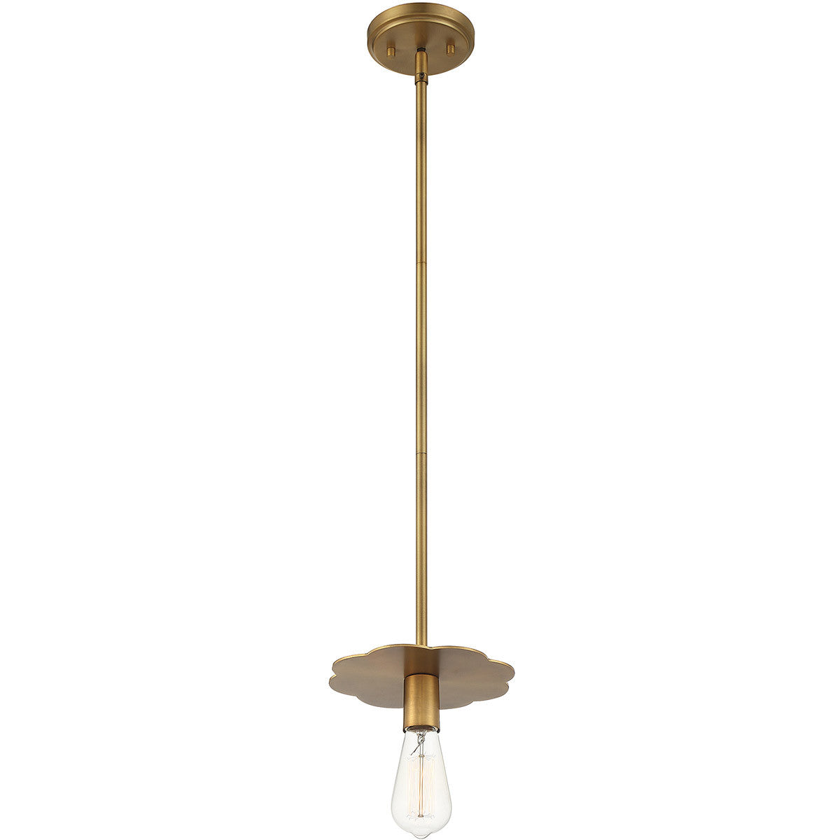 Meridian Lite Trends 1-Light Mini Pendant in Natural Brass M70113NB