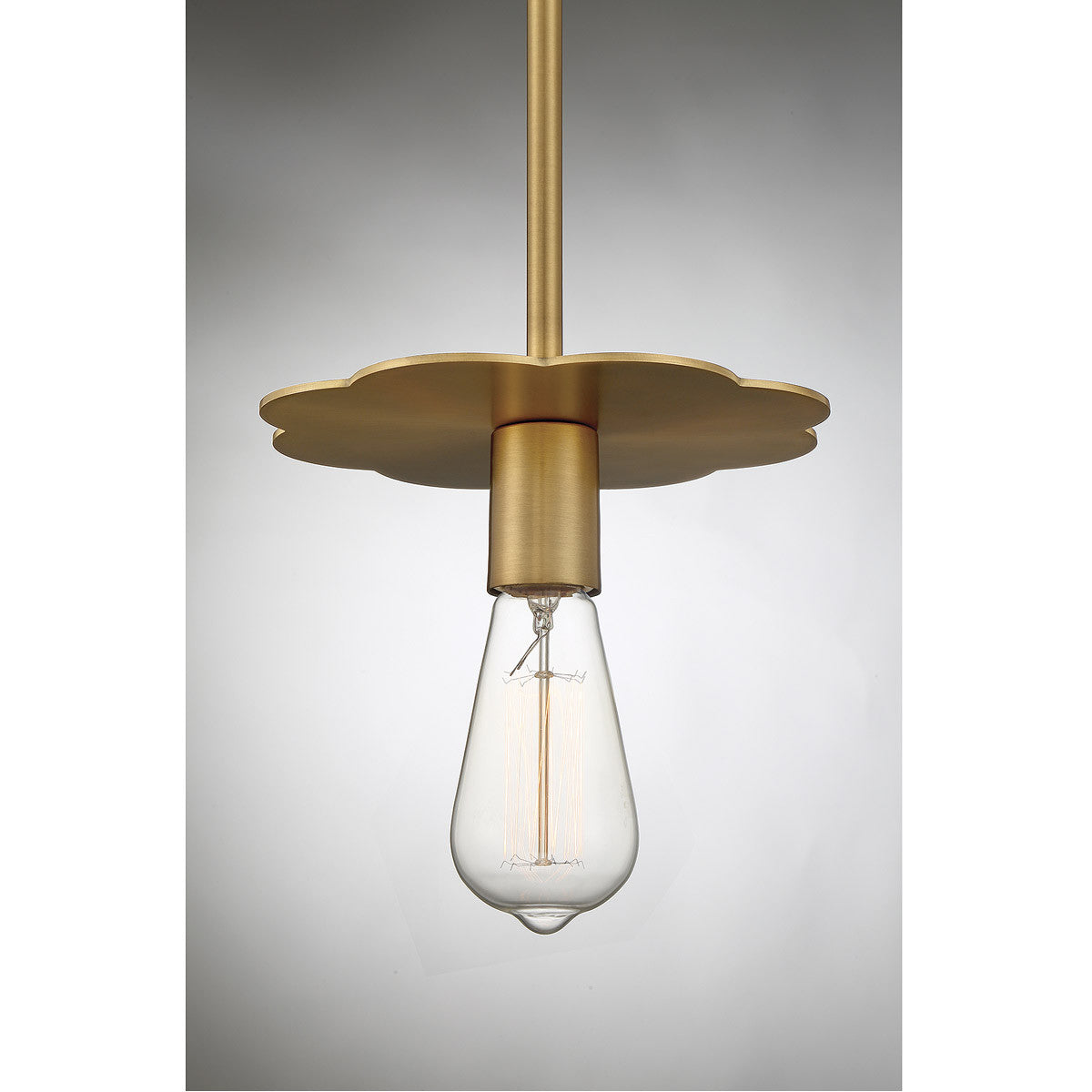 Meridian Lite Trends 1-Light Mini Pendant in Natural Brass M70113NB