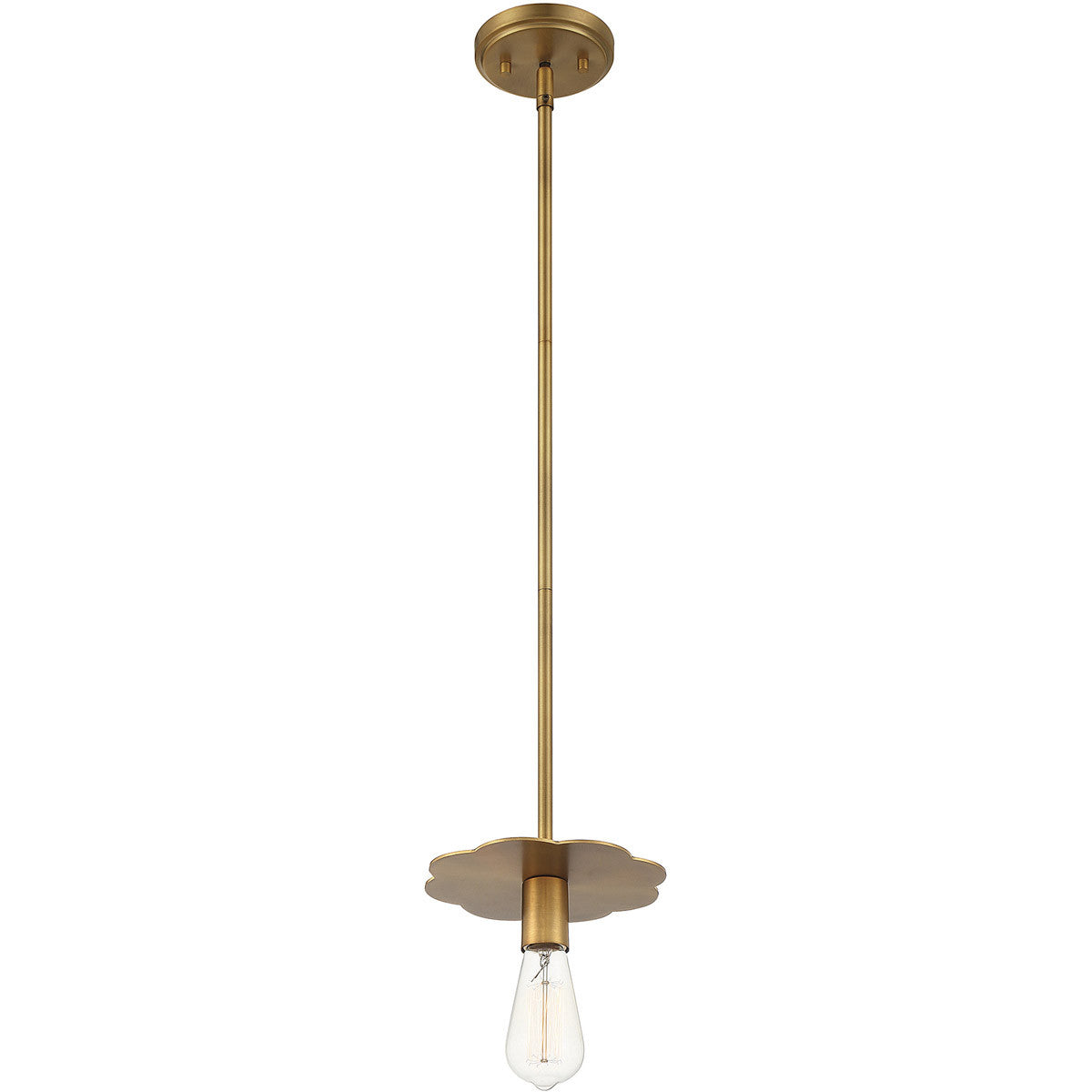 Meridian 1-Light Mini Pendant in Natural Brass M70113NB