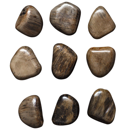 Uttermost Pebbles Walnut Wood Wall Decor, S/9 04323