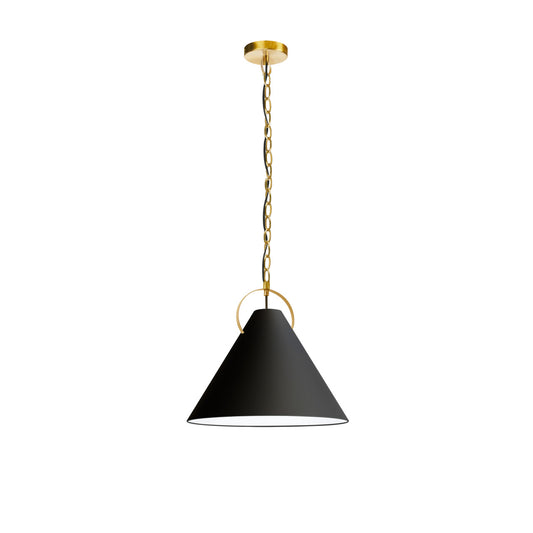 Dainolite 1 Light Incandescent Pendant, Aged Brass with Black Shade PCN-161P-AGB-797