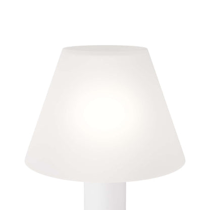 Arteriors Home Vanhorne Lamp PTC01