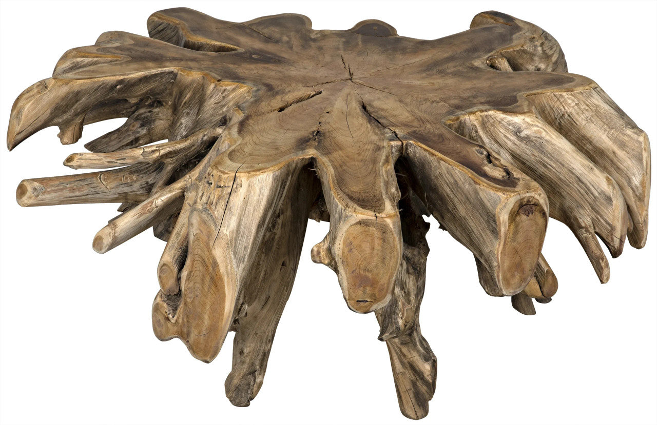 Noir Teak Root Coffee Table in Clear Coat Semi - Multilayered TEAK101