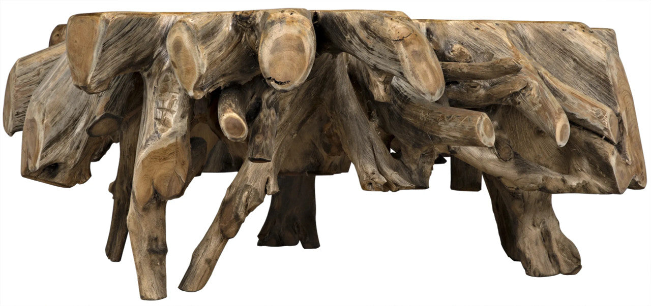 Noir Teak Root Coffee Table in Clear Coat Semi - Multilayered TEAK101