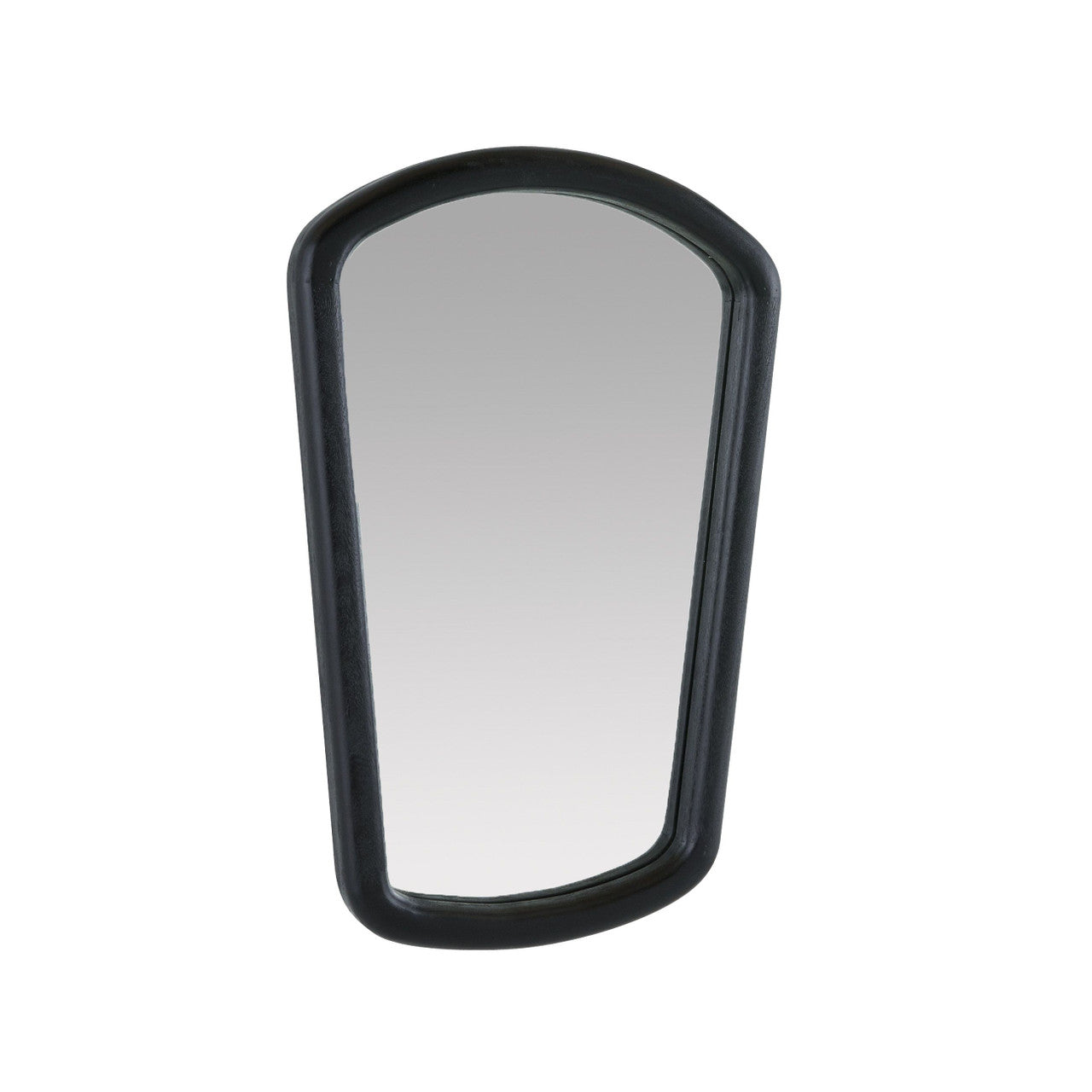 Arteriors Home Dyer Mirror WMI47