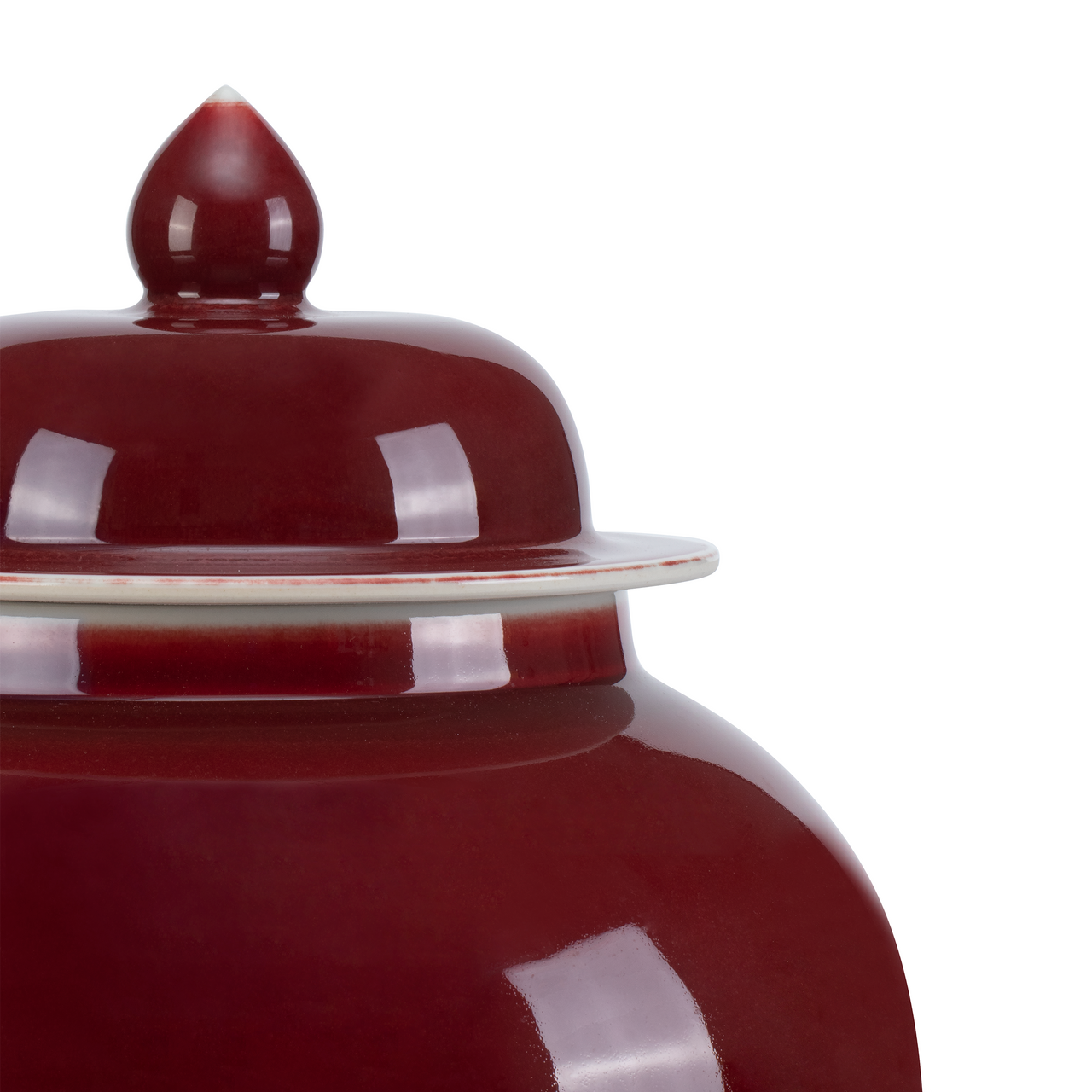 Currey & Co. Oxblood Large Temple Jar 1200-0686