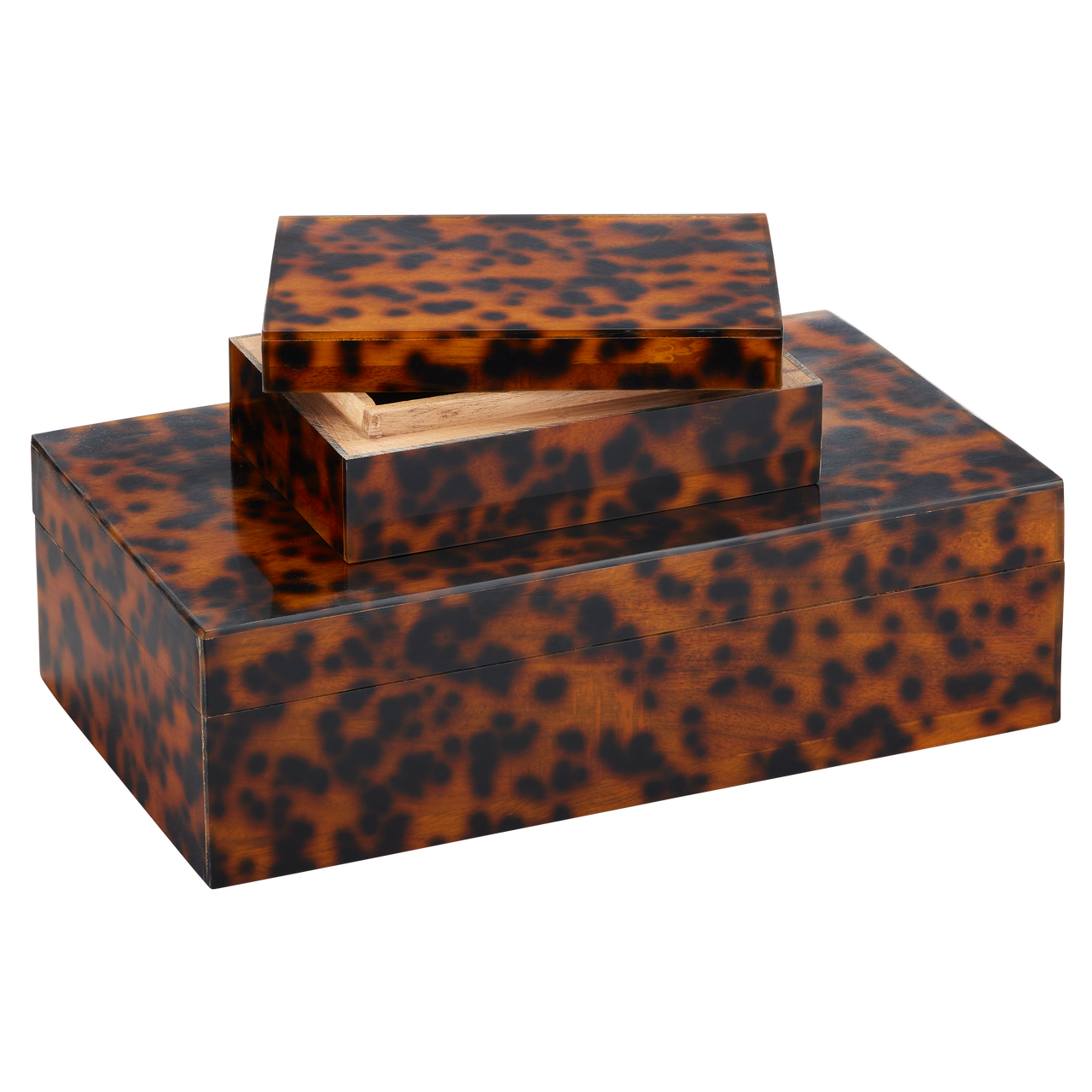 Currey & Co. Faux Tortoise Box Set of 2 1200-0737