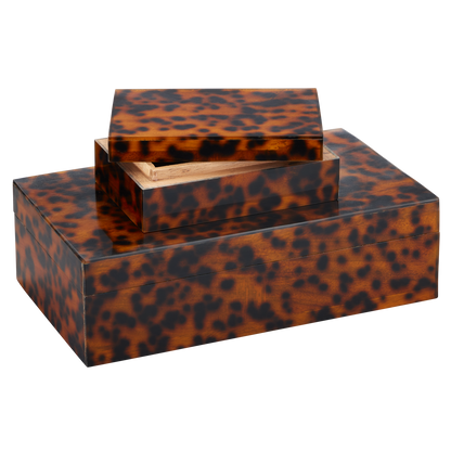 Currey & Co. Faux Tortoise Box Set of 2 1200-0737