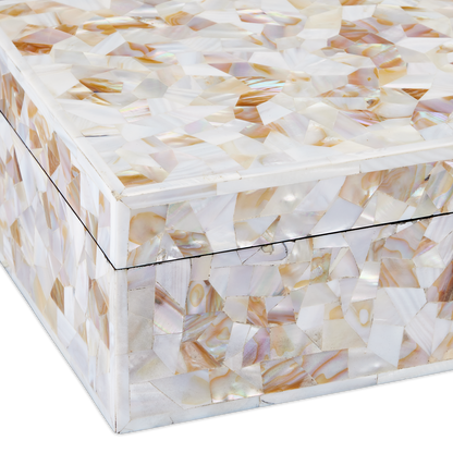 Currey & Co. Uma Mother of Pearl Box Set of 2 1200-0770