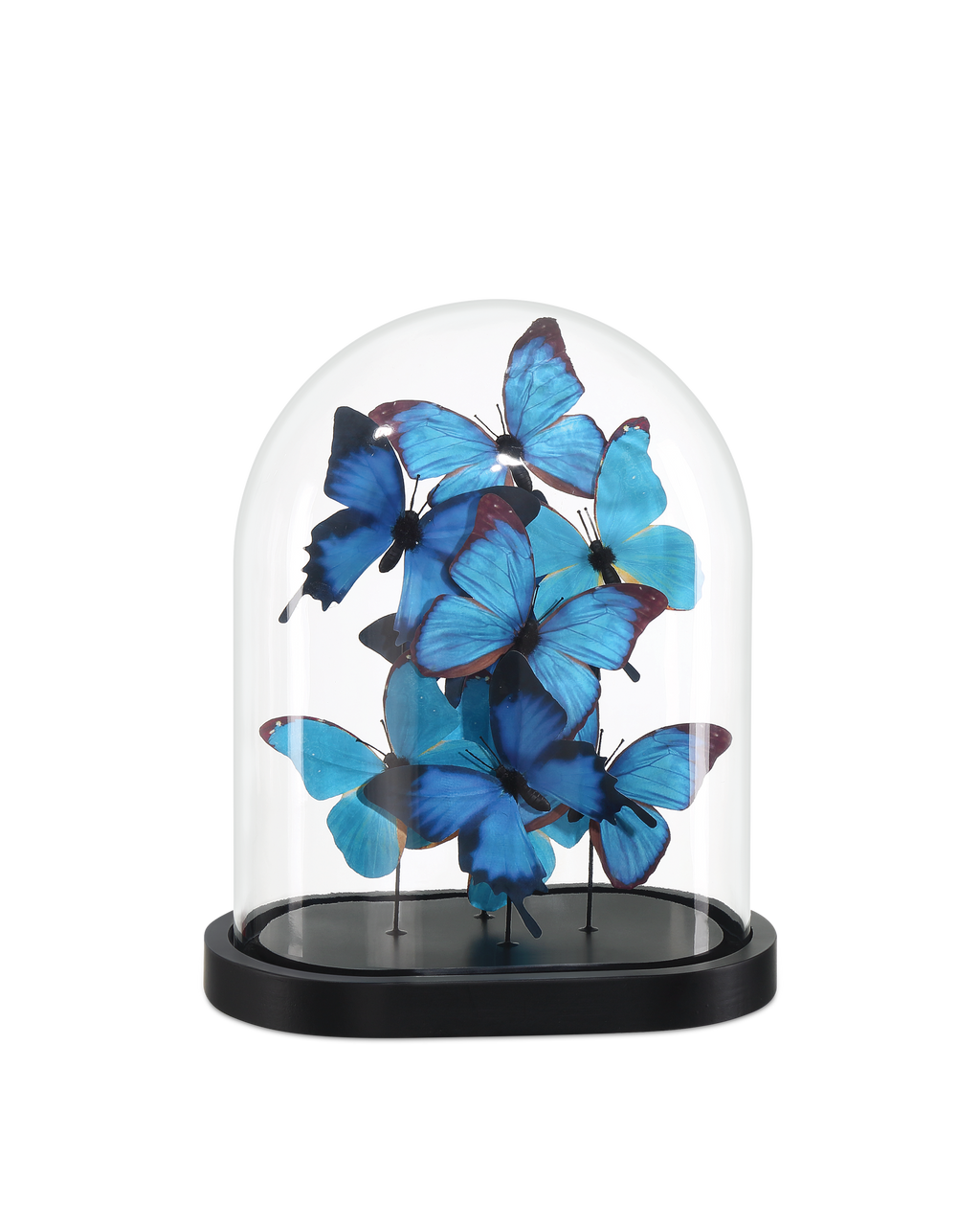 Currey & Co Rue de Bac Medium Butterflies in Blue/Black/Clear 1200-0896