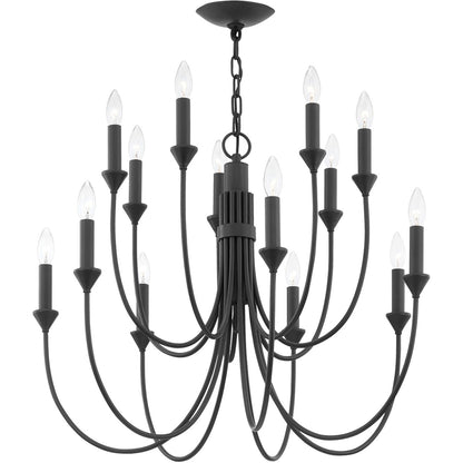 Troy Lighting 14 Light Cate Chandelier in Forged Iron F1014-FOR