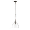 Lumanity Lighting Quinn Seeded Glass 10" Dome Dark Bronze Pendant Light in Dark Bronze  L090-0035