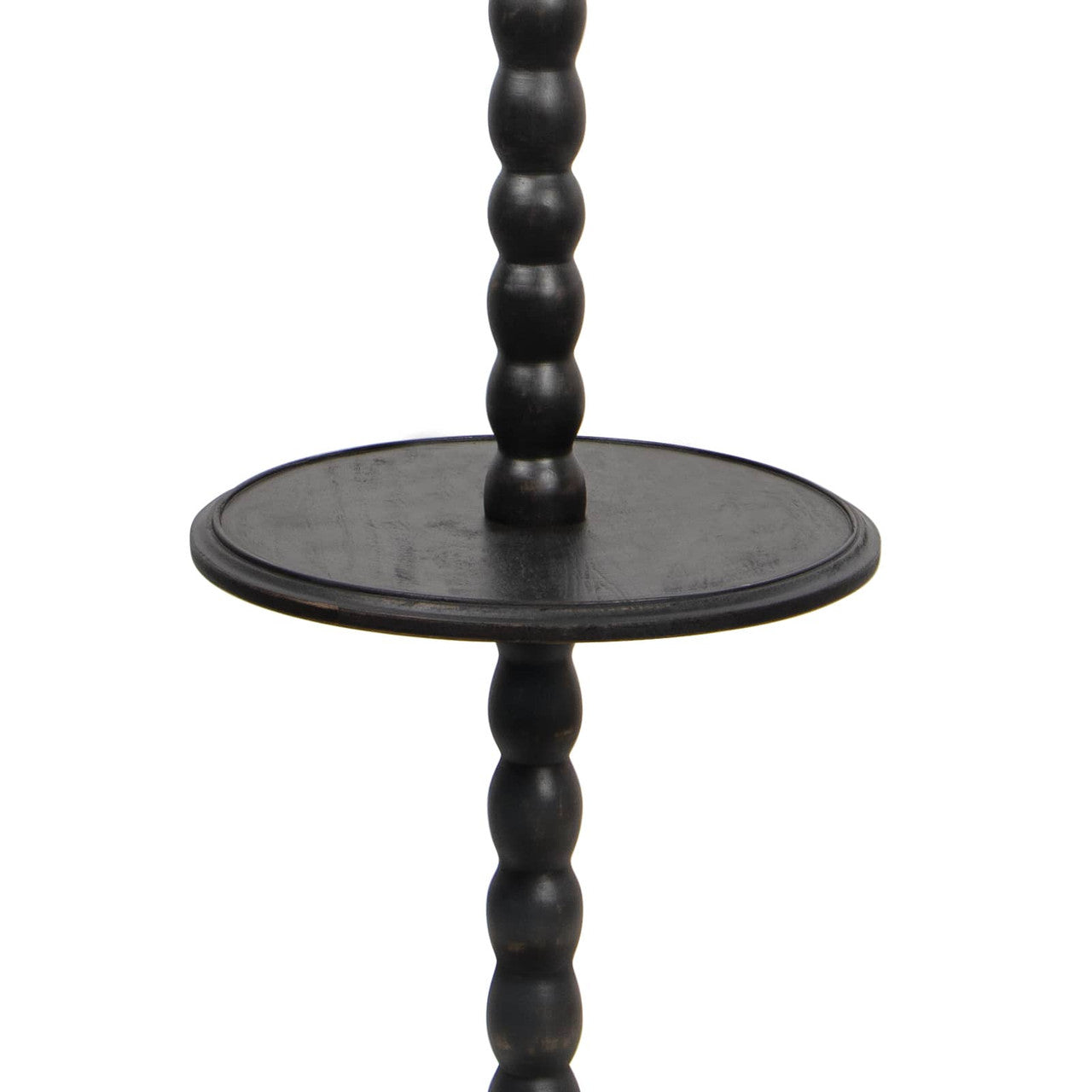 Regina Andrew Coastal Living Perennial Floor Lamp in Ebony By Regina Andrew 14-1058EB